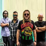 Perfil de Gondwana