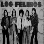 Los Felinos