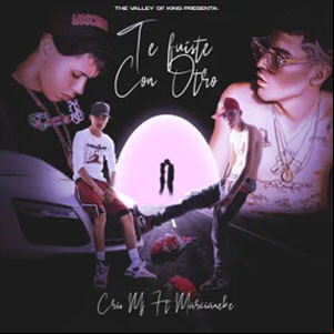 Álbum Te Fuiste Con Otro de Cris MJ