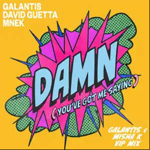 Álbum Damn (You’ve Got Me Saying) de Galantis