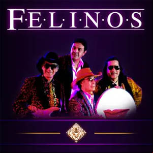 Álbum La Rosa y el Clavel de Los Felinos