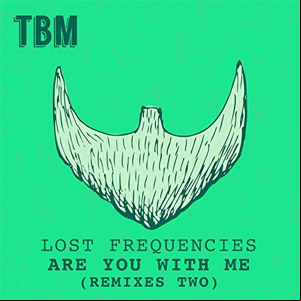 Álbum Are You With Me (Remixes Two) de Lost Frequencies