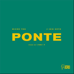 Álbum Ponte de Micro TDH