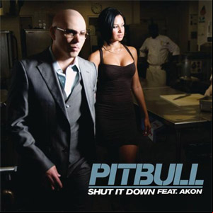 Álbum Shut It Down de Pitbull