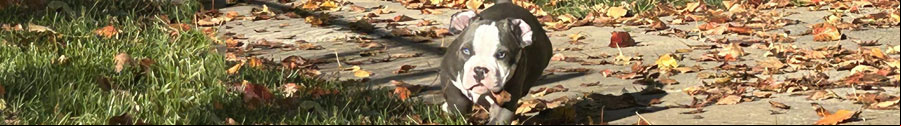 Banner de Manuel Treto